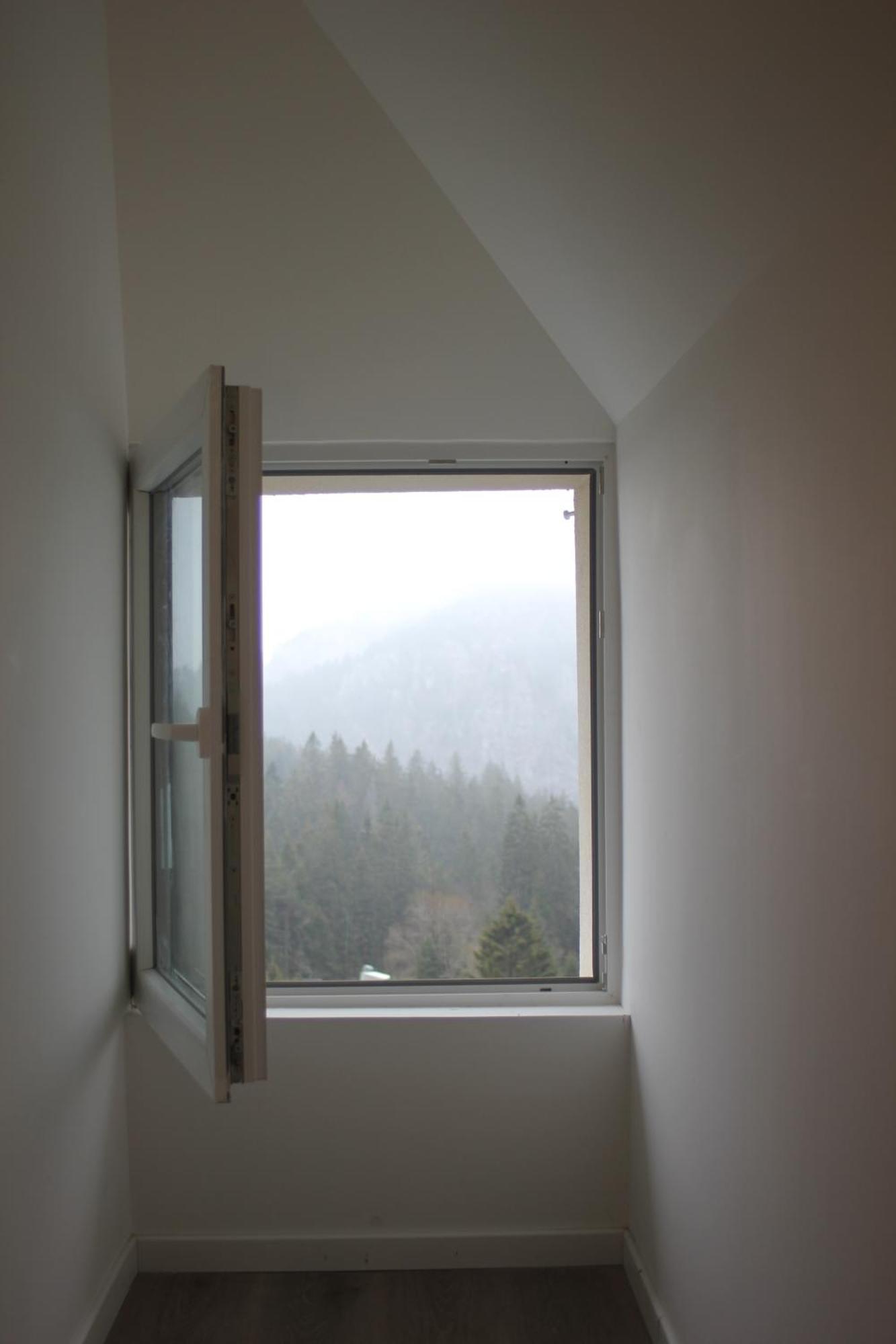 Beau Duplex Vue Sur Le Blanc * Orbey